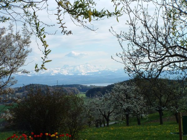 Aussicht