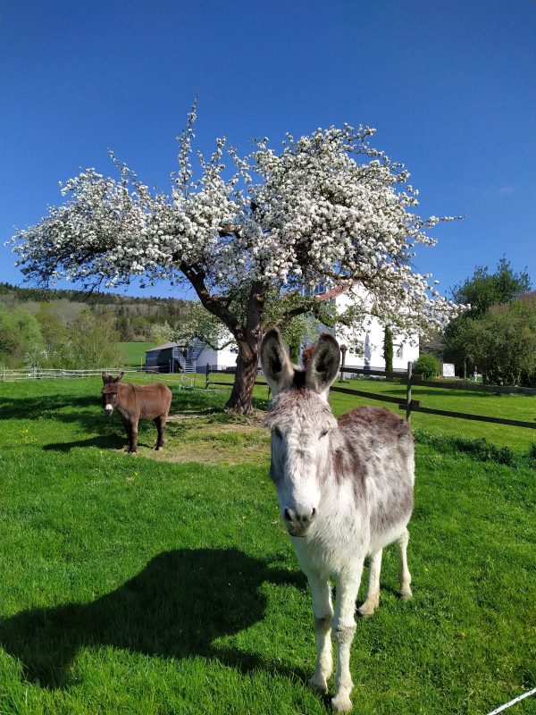 Moritz und Manolo