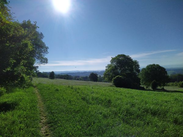 Wanderwege