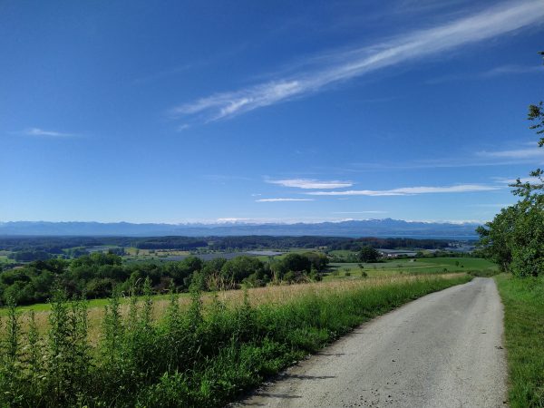 Bodensee-Landgänge