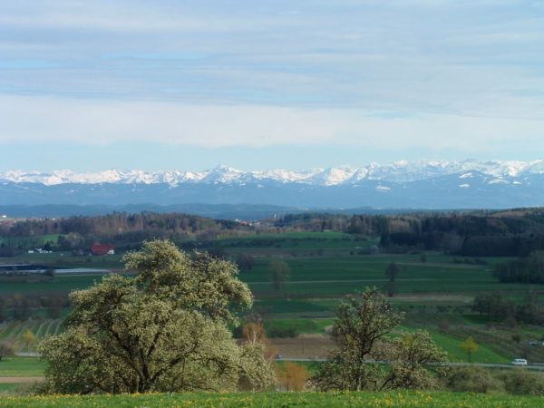 Alpenpanorama