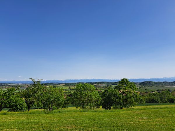 Aussicht