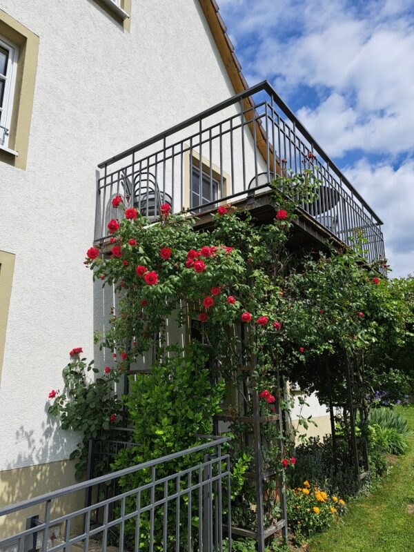 Impressionen